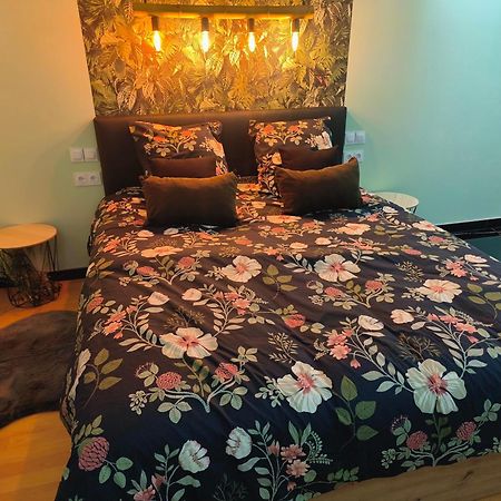 Vegetal Jungle Bed & Breakfast Blaye-Les-Mines Dış mekan fotoğraf